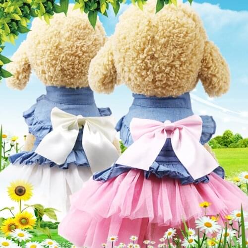 Puppy clothes spring, summer and autumn new dog clothes cat Korean denim skirt spring and summer cat clothes Teddy dog clothes