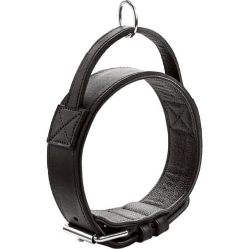 Collars Hunter China