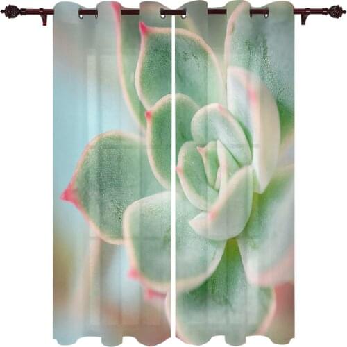 Green Succulents Modern Living Room Curtains Polyester Used In Kitchens Used In Bedroom Window Decorations Custom Size