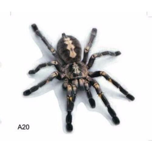 JanDeNing 3D Simulation Wacky Reptile Personal Car stickers 10Pcs/1Pack