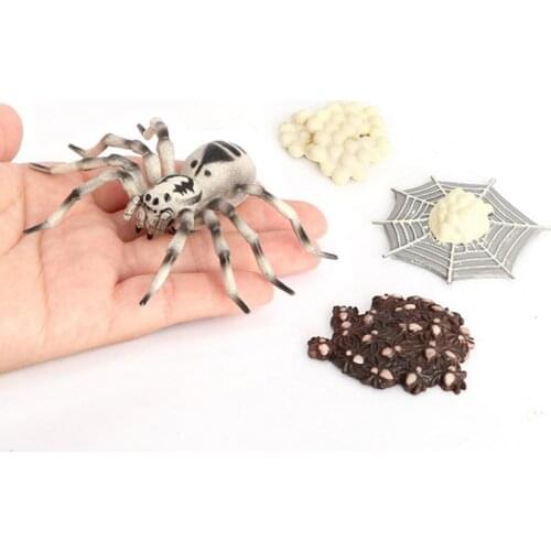 4Pcs/5Pcs Frog Butterfly Bee Animal Plastic Growth Observation Model Toys Early Educational Cognition Toy