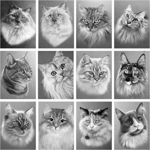 Animal Cat Black White Picture 5D DIY Diamond Painting Square/Round Full Drill Mosaic Cross Stitch Kit Artist Home Decoration