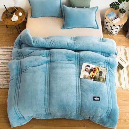Super warm Flannel quilt winter thickened blanket to keep warm 5 kg of cotton double-sided fleece spring autumn comforter