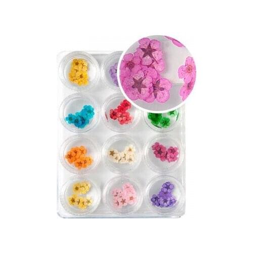 Decoration nails Dried Flower Set No. 2