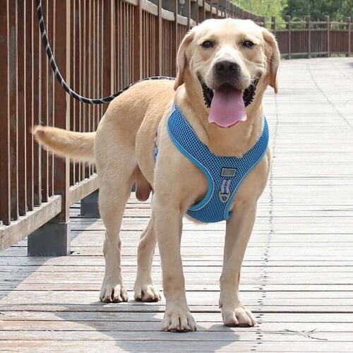 New Nylon Large Pet Dog Harness All Weather Service Dog Ves Padded Adjustable Safety Vehicular Lead For Dogs XL-4XL