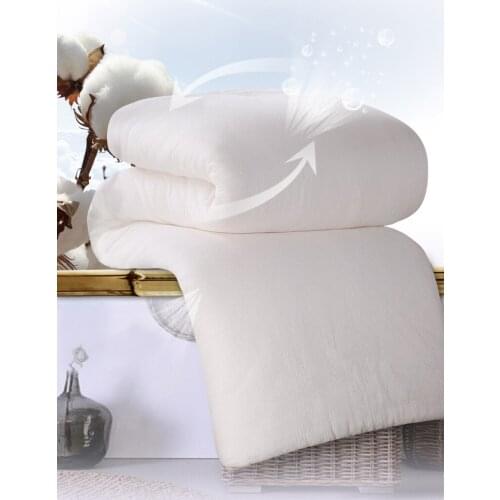 200*230 Thick Comforter Fresh Long-Staple Cotton edredones Queen Blanket Gauze Quilt Core Pregnant duvet Elderly edredom futon