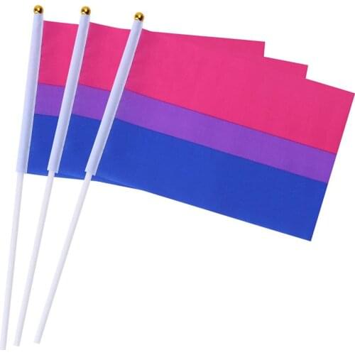 10PCS/Pack 14X21CM Gay Pride Flags Easy To Hold Mini Small Rainbow Flags With Flagpoles Parade Party Decorations Flag