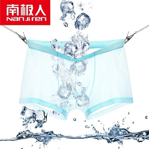 Summer thin breathable youth summer mens ice silk underwear male boxer shorts sexy transparent boxers