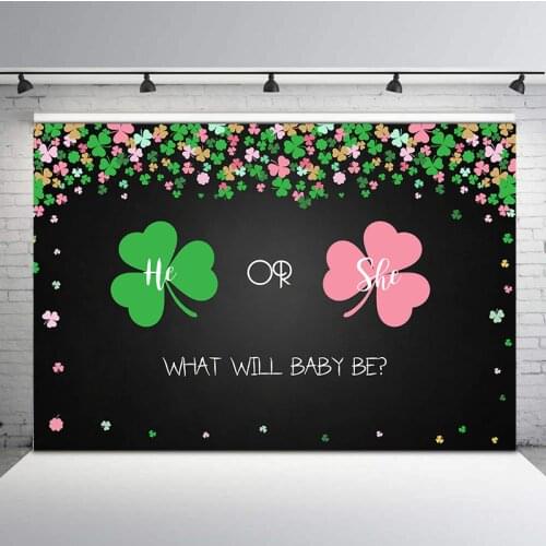 Gender Reveal Backdrop Pink or Green Lucky Charm Photography Background Gender Surprise Blackboard Photography Backdrops