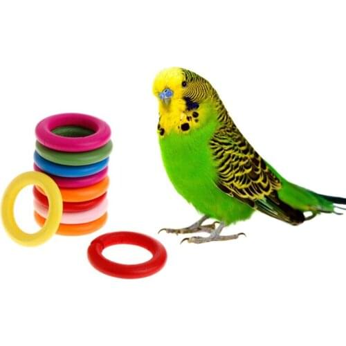 10 Pcs/Set Wooden Ring Parrot Toys Bite Chew Play Natural Colorful Rings Decoration Birds Parakeet Toy DIY Accessories