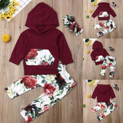 3pcs Toddler Kid Baby Girls Long Sleeve Hoddie Tops Flower Pants Leggings Outfit