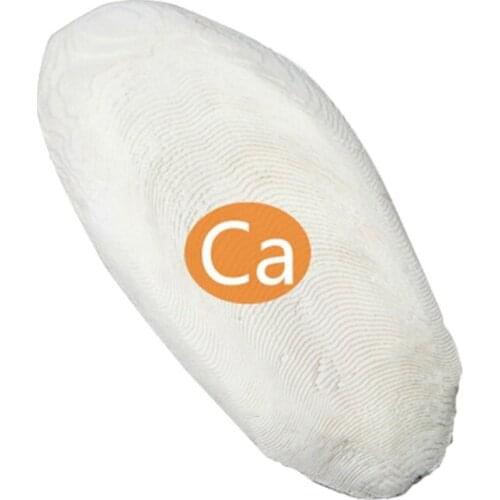 Reptile Turtle Health Calcium Mineral Cuttlefish Bone Bird Feed Cuttlebone Block