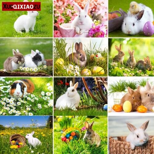 Full Suqare/Round Rabbit Guinea Pig Diamond Embroidery Paintings Cross Stitch Kit DIY Home Decoration Mosaic Handicraf 2020 New