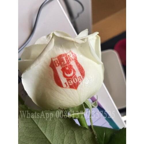 3 flowers printer with touch screen nail printing equipment 3 roses priner machine