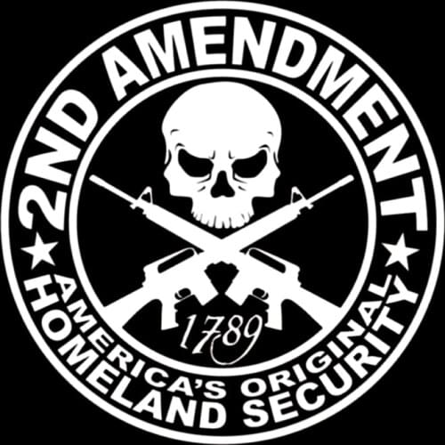 2ND AMENDMENT GUN* Vinyl Decal Sticker Truck Diesel Car Hunting 4x4 Funny Auto Parts Waterproof PVC