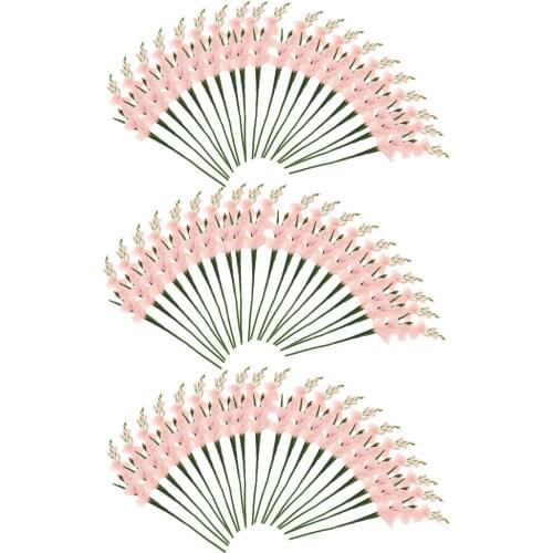 60Pcs Gladiolus Flowers Plants f/ Wedding Christmas Cafe Pub Bar Ornaments
