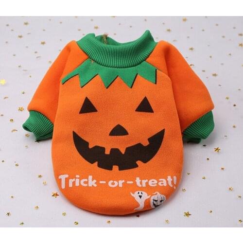 Pumpkin witch costume for Halloween pet dog clothes Chihuahua Pug Coat Jackets Puppy Outfits
