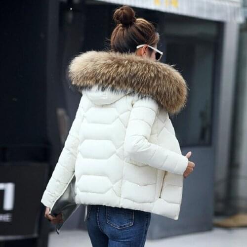 2021 Autumn high quality Winter Jacket Women Parkas for Coat Fashion Female Down Jacket With a Hood Large Faux Fur Collar Coat