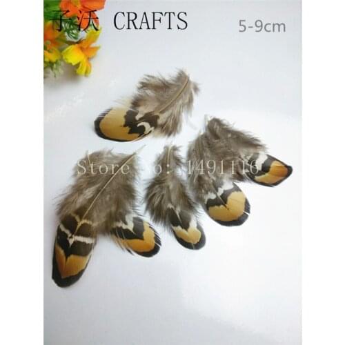 New! 20 pc 5-8cm high quality pheasant feather, DIY handmade arts accessories
