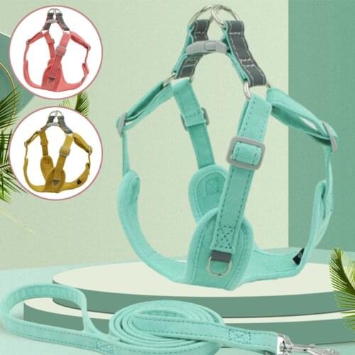AESOPET Harnesses