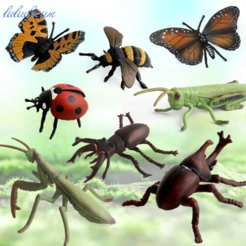 Simulation Solid Insect Model Toys Home Decoration Kids Cognitive Toys Spider Collectible Toy