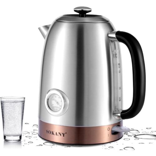 Skyworth Stainless Electric Kettles