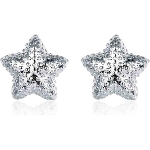 Hot sell Hot New Fashion silver earings fashion jewelry Fashion Frosted Star stud brincos Gift for her SMTE032