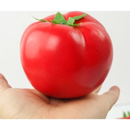 Processing Technology Home And Garden Products