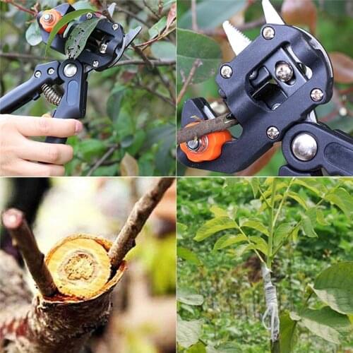 Professional Nursery Grafting Tool Professional Branch Cutter Secateur Pruning Plant Shears Boxes Fruit Tree Grafting Scissor