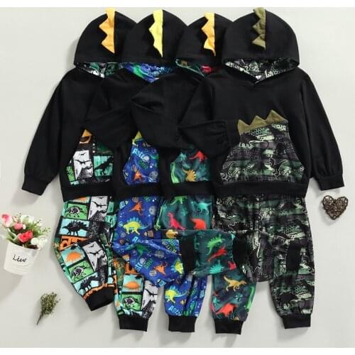 2-7Y Toddler Kids Baby Boy Long Sleeve Cartoon Dinosaur Hooded Tops Long Pant 2PCS Outfits Spring Autumn Clothes Set