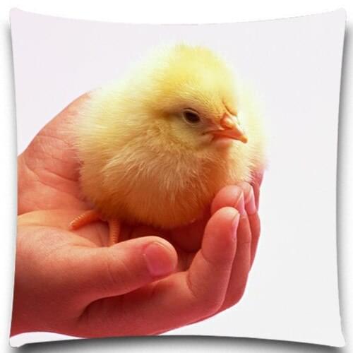 Newborn chick animals pattern Square Pillow Case Cotton polyester 16" 18" 20" Inches Bedroom Office Throw Decorative 9 style