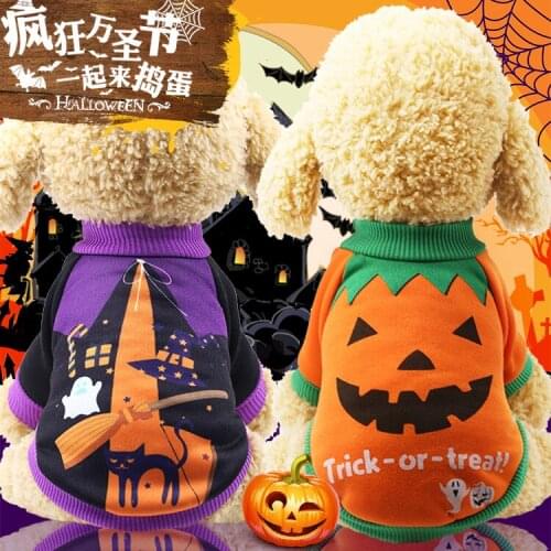 Dog clothes Halloween party whimsical pet clothes spring autumn winter pumpkin witch with two feet dog halloween costume