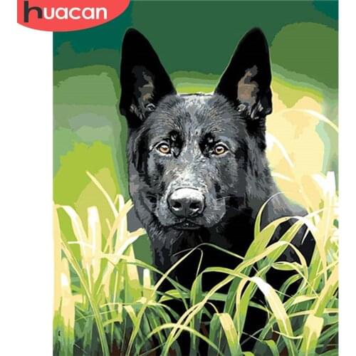 HUACAN Painting By Numbers Animal Drawing On Canvas HandPainted Art Gift DIY Picture By Number Dog Kits Home Decoration