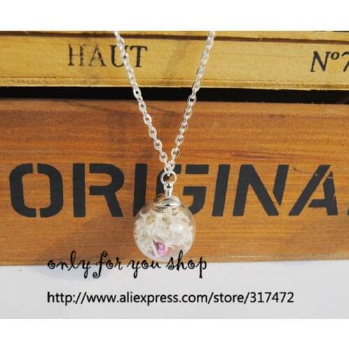 30pcs nature moss dry flower Glass Vial Pendant Necklace Dry Flower Glass Bubble Globe silver necklace (finished necklace)