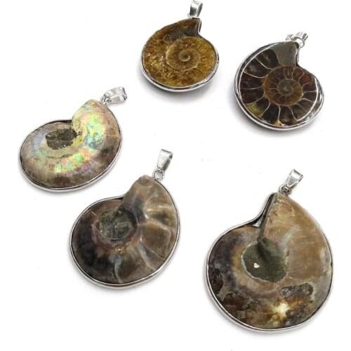 Natural Stone Shell pendant Marine life Exquisite charms for Jewelry Making DIY Necklace Accessories Reiki Healing Gift