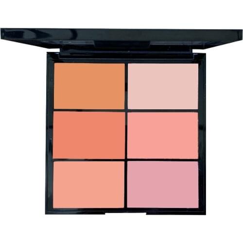 TT Loreal European and American Blusher Plate Genuine Combination Nude Makeup Multi-Color Natural Blusher Female Air Cushion