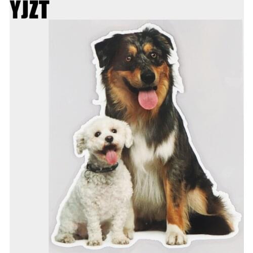 YJZT 15.8×18.7CM Australian Shepherd Animal Dog Car Sticker Fashion Funny Vinyl Decals Accessories 21A-0040