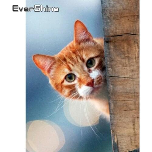 EverShine Diamond Painting Cat Diamond Mosaic Full Display Animals Cross Stitch Diamond Embroidery Sale Picture Of Rhinestones