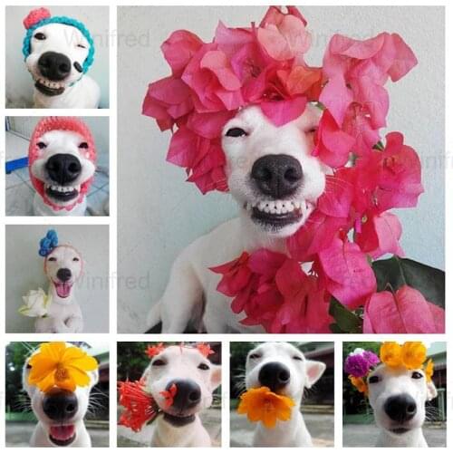 DIY Flower Cute Animal Bulldog Diamond Painting 5D Diamond Embroidery Dog Cross Stitch Mosaic Applique Diamond Modern Wall Art