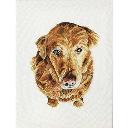 ZZ5176 For Needlework Kit NOT PRINTED Cross stich Painting Set Cross Stitch Kits Cross-stitch Embroidery Set Stitch Kits Cross