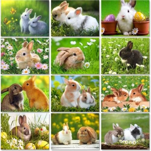 PhotoCustom 60x75cm Paint By Numbers For Adult Rabbit DIY Oil Painting By Numbers On Canvas Animals Frameless Number Painting