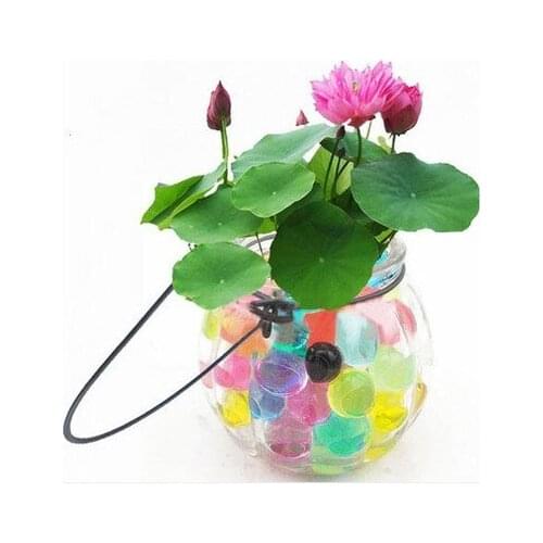 Hot Wholesales Pearl Shaped Crystal Soil Water Beads Mud Grow Magic Jelly Balls Home Decor Aqua Soil 1000PCS/bag