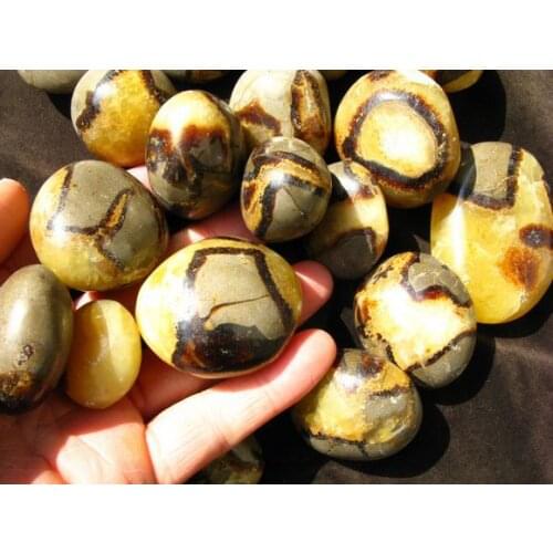 1kg NATURAL Dragon Septarian Stone freeform