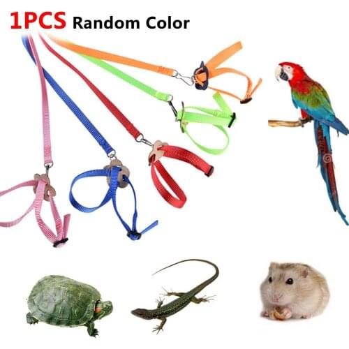 Pet Bird Harness Adjustable Leash Flying Training Rope For Parrot Djustable And Safety Comfortable High Quality Easy To Wear