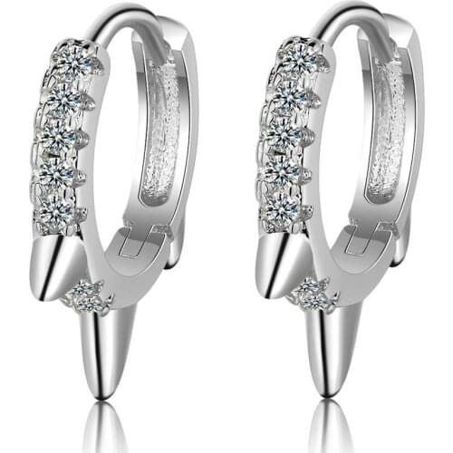New Punk Single Row CZ Zircon Hoop Earrings 925 Sterling Silver Simple Earring For Women Girl Party Gift Jewelry brincos