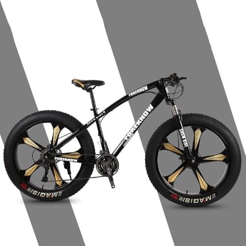 Mountain Bike Mountain Cross Country Beach Snowmobile Adult Wide Tire Leisure Scooter Speed Male and Female Students Bicycle