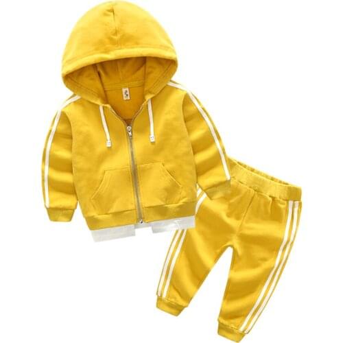 2019 autumn boy girl clothes sets nice Pure cotton kids Hoodie+Haren pants Suit 2 piece toddler sports clothes Children clothes