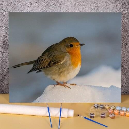 Bird Animal DIY Painting By Numbers Package Oil Paints 50*70 Painting On Canvas Handmade Crafts For Adults For Wholesale