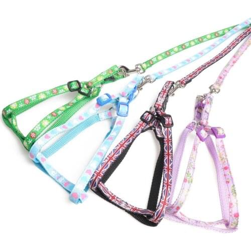 Colorful Nylon Dog Harness and Leash Adjustable Pet Step in Harness Pet Leash For Small Medium Dogs