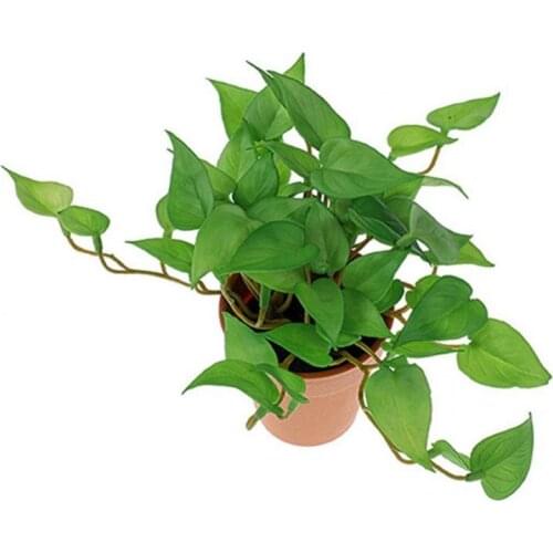 Home Decor Practical Fake Begonia Green Radish Potted DIY Artificial Mini Greenery Potted Vibrant Color for Family